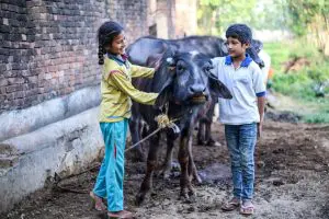 Helping Hands Living