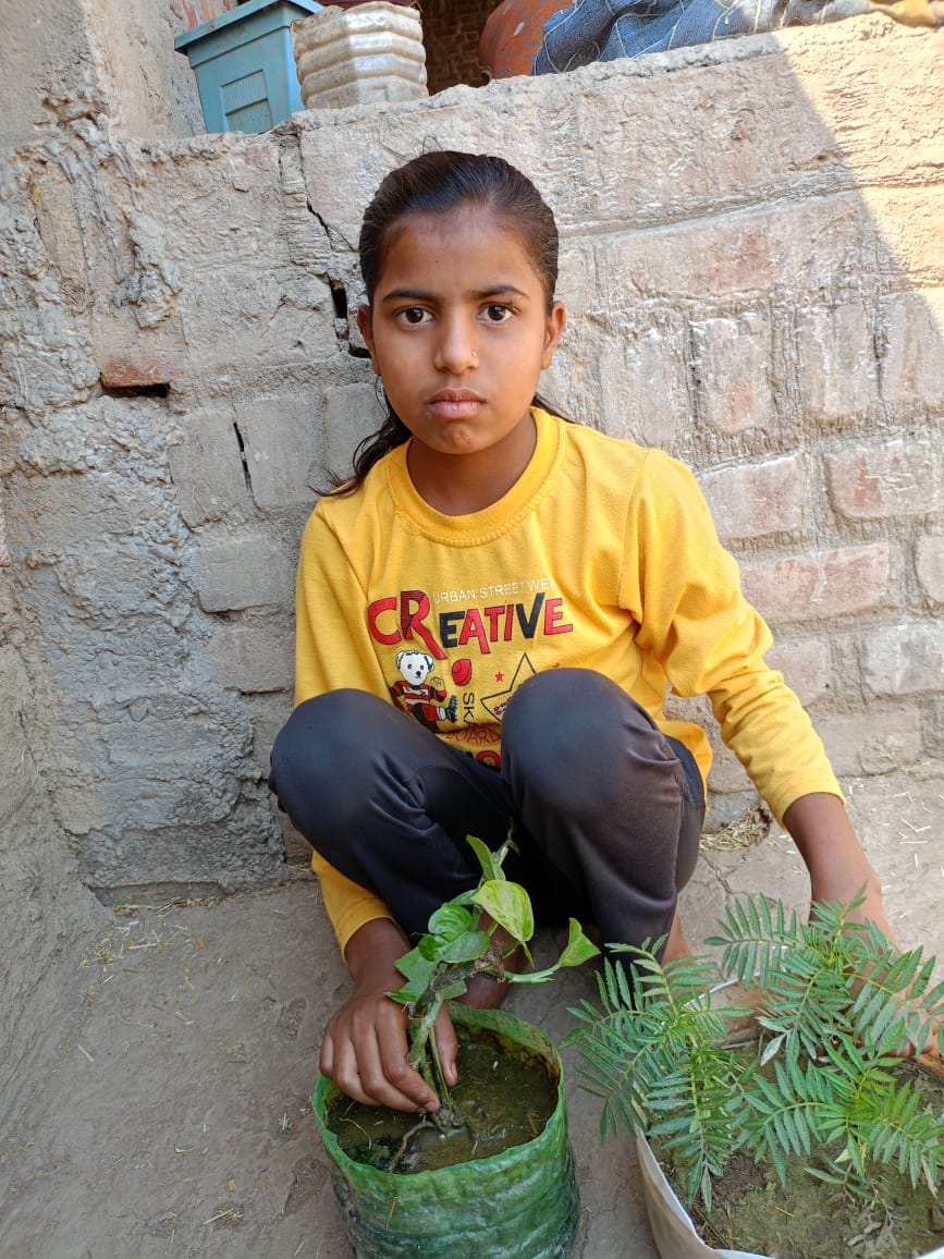 Planting Trees Helping Hands