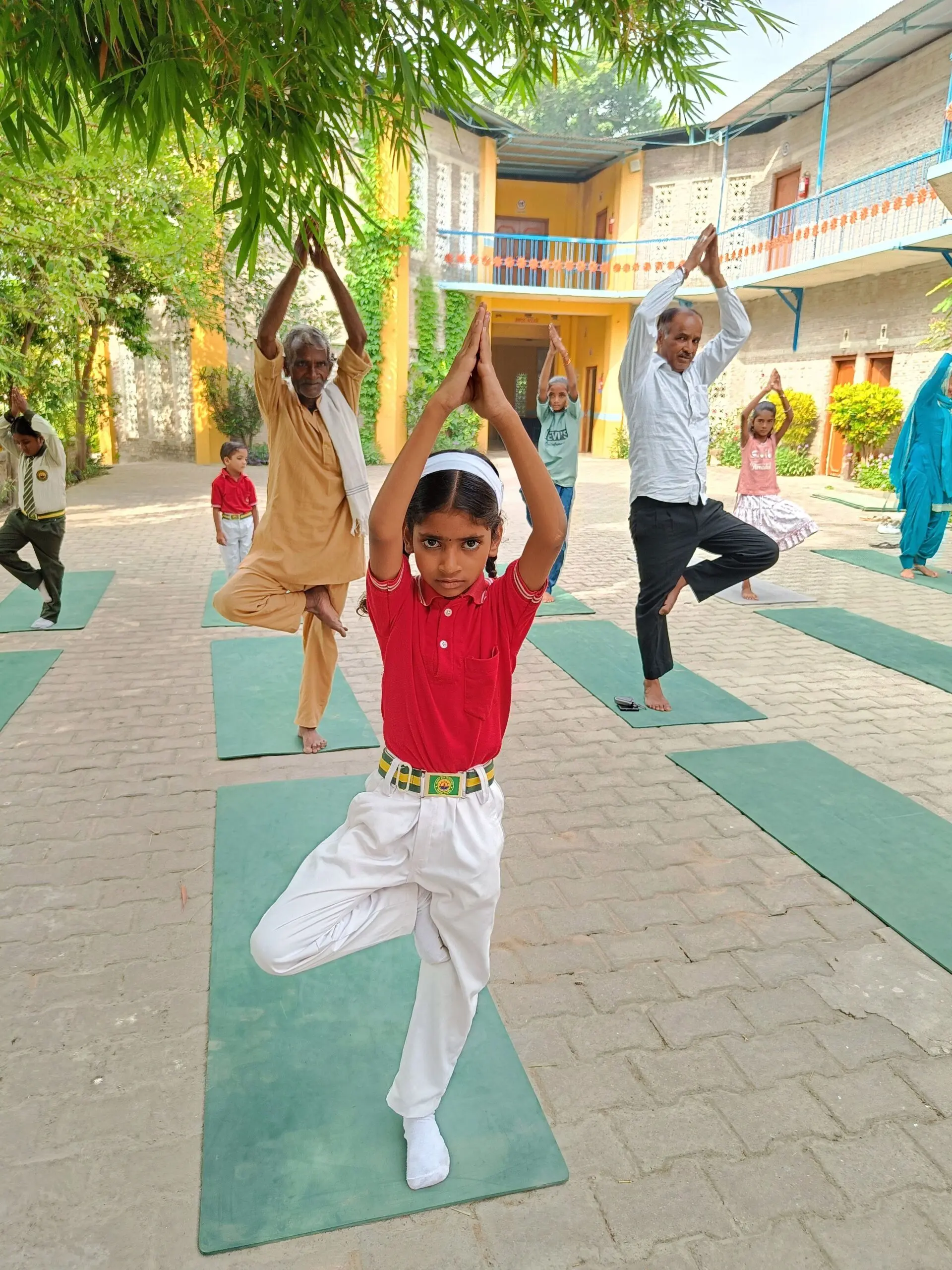 Students and elders balancing in tree pose under a tree